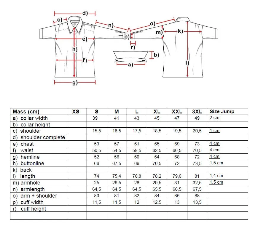 Brandon Men's Western Shirt